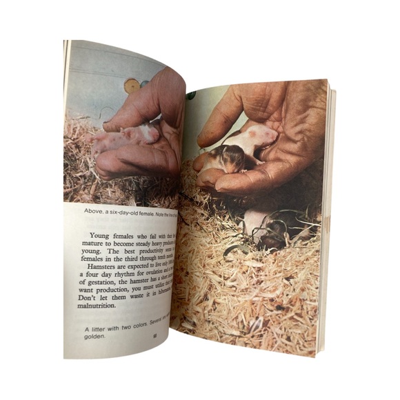 Teddy Bear Hamsters By Mervin F. Roberts Trade Paperback 1974 - Picture 8 of 9